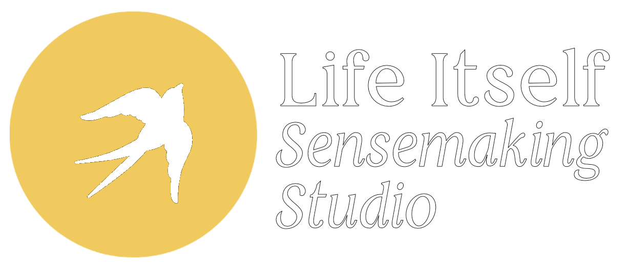 Life Itself Sensemaking Studio